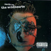 Shame On Me by The Wildhearts