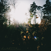 ✧˖° ༘ ɧöstkänslaɳ𓇢𓆸 ݁₊ ⊹ ˖°.