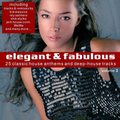Elegant & Fabulous Vol. 3 (Classic House Anthems & Deep-House)