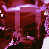 tattered trees in rain