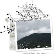 ...you breathed like winter...