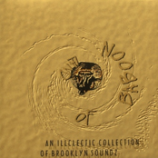 Land of Baboon: An Illclectic Collection Of Brooklyn Sounds