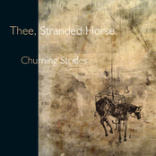 Sharpened Suede by Thee, Stranded Horse