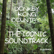Donkey Kong Country: The Iconic Soundtrack