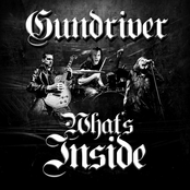Gundriver: What's Inside