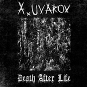 Death After Life
