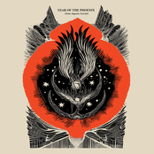 Year of the Phoenix