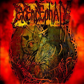 Disgraced (single) Album Picture