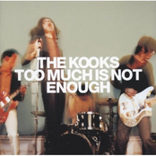 A Turbulence Beat by The Kooks
