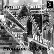 Evolution of Chaos