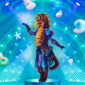 The Masked Singer: Zeepaard