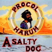 A Salty Dog (2009 Remaster)