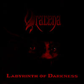 Labyrinth of Darkness