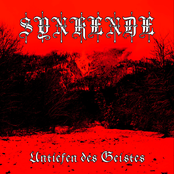 Untiefen des Geistes