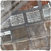 Can't We All Just Get the Coronavirus and Move Along