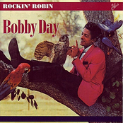 Rockin' Robin by Bobby Day