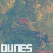 The Spark by Dunes