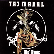 Why Did You Have To Desert Me? by Taj Mahal