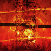 Exotherm