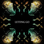 Letting Go