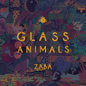 Glass Animals: ZABA