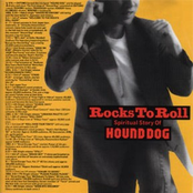 Bad Boy Blues by Hound Dog