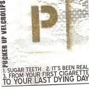 Split w/ Circus Circus