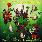 Paradise And Tranquility