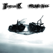 Arcane XVII / The Dead Musician