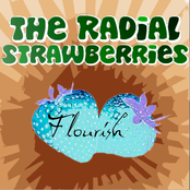 Flourish [Bonus Disk]