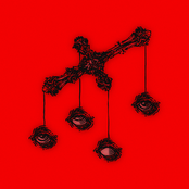 Little Death Project