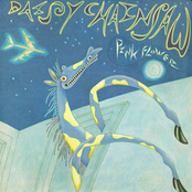 Pink Flower EP B-Sides