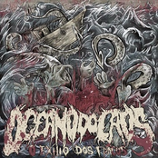 O Exílio Dos Fracos