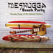 20 Songs Of The Chosen Surfers