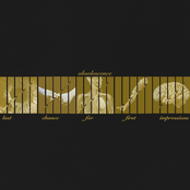 LAST CHANCE FOR FIRST IMPRESSIONS