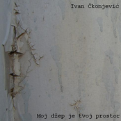 Moj džep je tvoj prostor (2008.)