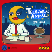 Telejornal Animal