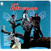 Las Moskas