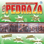 Desde San Juan de Aragón Los Pedraza