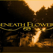 beneath flowers