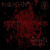 Suicidal Chaos