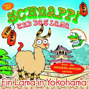 Ein Lama in Yokohama