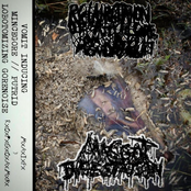 RxOxPxGxOxAxMxNx/MxAxIxFx Split