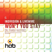 Indivision: Won't You Stay