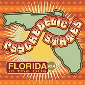 Psychedelic States: Florida In The 60s Vol 4