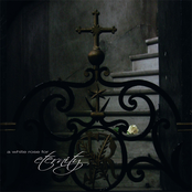 A white rose for eternity