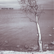 Muzyka Voln