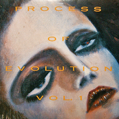 Process of Evolution vol. 1