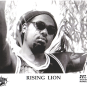 rising lion