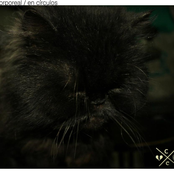 Corporeal & En Círculos Split